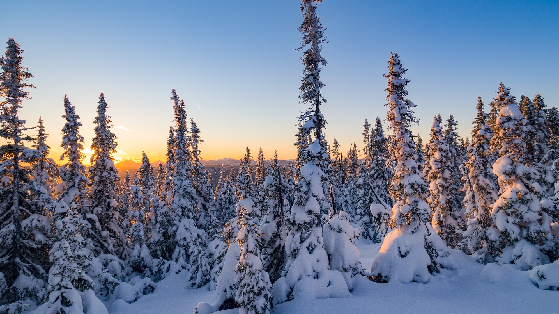 +Eventos de Diciembre de 2025:::