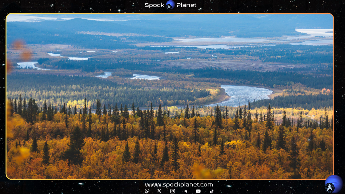 Otoño Boreal